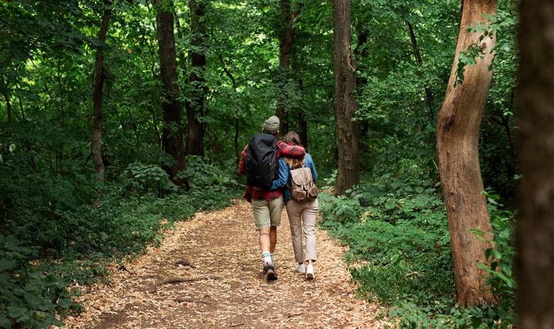 Forêt Deux personnes se baladent en forêt