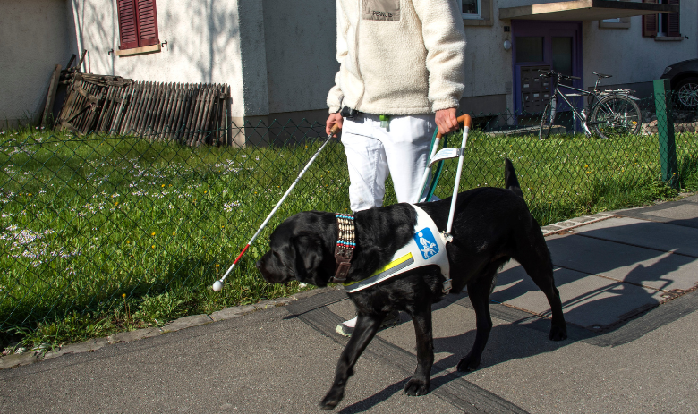 Chien guide d'aveugle Un chien d'aveugle en route avec son maître